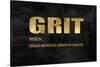Grit in Gold-Jamie MacDowell-Stretched Canvas