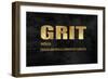 Grit in Gold-Jamie MacDowell-Framed Art Print