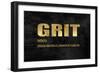 Grit in Gold-Jamie MacDowell-Framed Art Print