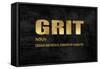 Grit in Gold-Jamie MacDowell-Framed Stretched Canvas