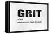 Grit-Jamie MacDowell-Framed Stretched Canvas