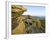 Gritstone Rock Formations, Froggatt Edge, Peak District National Park, Derbyshire, England-Neale Clarke-Framed Photographic Print