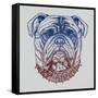 Gritty Bulldog-Rachel Caldwell-Framed Stretched Canvas