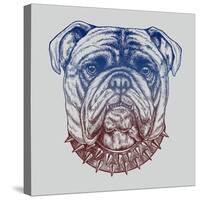 Gritty Bulldog-Rachel Caldwell-Stretched Canvas
