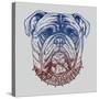 Gritty Bulldog-Rachel Caldwell-Stretched Canvas