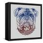 Gritty Bulldog-Rachel Caldwell-Framed Stretched Canvas