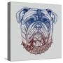 Gritty Bulldog-Rachel Caldwell-Stretched Canvas