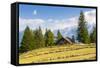 Grivola Mountain, Vetan, Aosta Valley, Italian Alps, Italy, Europe-Nico Tondini-Framed Stretched Canvas