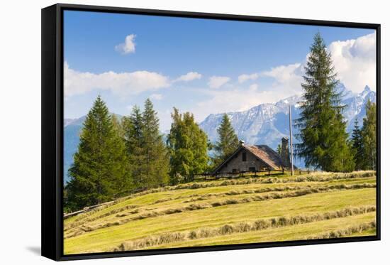 Grivola Mountain, Vetan, Aosta Valley, Italian Alps, Italy, Europe-Nico Tondini-Framed Stretched Canvas