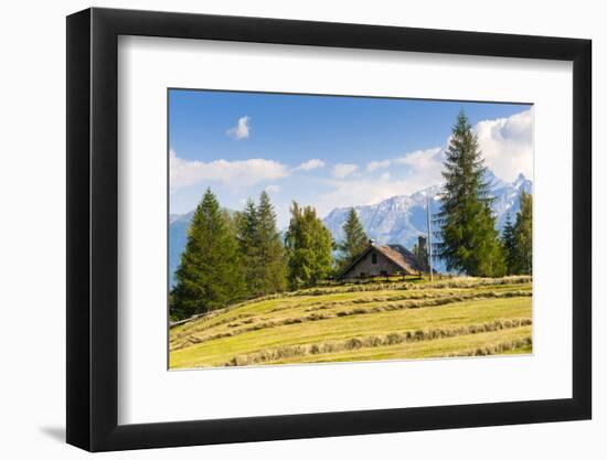 Grivola Mountain, Vetan, Aosta Valley, Italian Alps, Italy, Europe-Nico Tondini-Framed Photographic Print