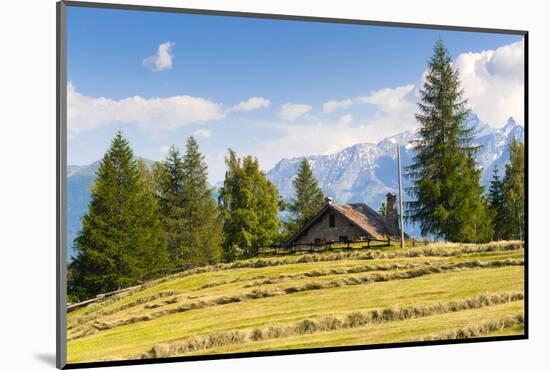 Grivola Mountain, Vetan, Aosta Valley, Italian Alps, Italy, Europe-Nico Tondini-Mounted Photographic Print