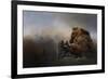 Grizzlies in the Water-Jai Johnson-Framed Giclee Print