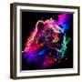 Grizzly 2-null-Framed Art Print