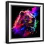 Grizzly 2-null-Framed Art Print