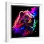 Grizzly 2-null-Framed Art Print