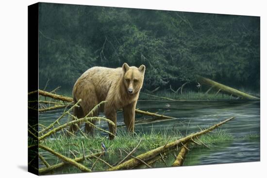 Grizzly and Swallows-Jeremy Paul-Stretched Canvas