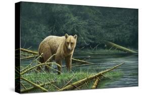 Grizzly and Swallows-Jeremy Paul-Stretched Canvas