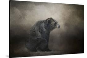 Grizzly at Rest-Jai Johnson-Stretched Canvas