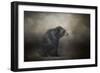 Grizzly at Rest-Jai Johnson-Framed Premium Giclee Print