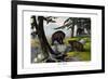 Grizzly Bear, 1860-null-Framed Giclee Print