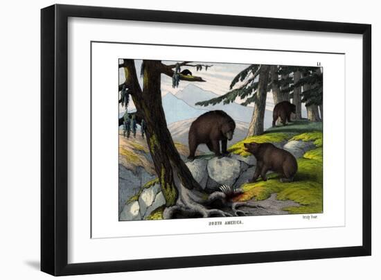 Grizzly Bear, 1860-null-Framed Giclee Print