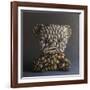 Grizzly Bear, 2013,-Peter Jones-Framed Giclee Print