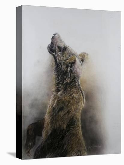 Grizzly bear 3, 2009-Odile Kidd-Stretched Canvas