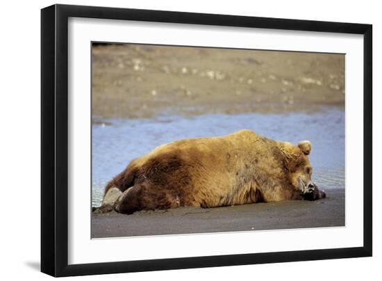Photographic Print, , large