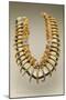 Grizzly Bear Claw Necklace, Iowa, Native American, C.1830-American-Mounted Giclee Print