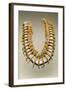 Grizzly Bear Claw Necklace, Iowa, Native American, C.1830-American-Framed Giclee Print