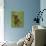 Grizzly Bear Cub in Captivity, Eating an Oxeye Daisy Flower, Sandstone, Minnesota, USA-James Hager-Stretched Canvas displayed on a wall