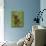 Grizzly Bear Cub in Captivity, Eating an Oxeye Daisy Flower, Sandstone, Minnesota, USA-James Hager-Mounted Photographic Print displayed on a wall