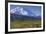 Grizzly Bear Feeding on Tundra Below Mt. Mckinley-Paul Souders-Framed Photographic Print