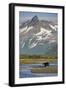 Grizzly Bear Hunting in Stream at Kukak Bay-Paul Souders-Framed Photographic Print