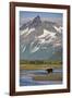 Grizzly Bear Hunting in Stream at Kukak Bay-Paul Souders-Framed Photographic Print