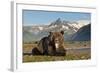 Grizzly Bear, Katmai National Park, Alaska-Paul Souders-Framed Photographic Print