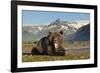 Grizzly Bear, Katmai National Park, Alaska-Paul Souders-Framed Photographic Print