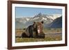 Grizzly Bear, Katmai National Park, Alaska-Paul Souders-Framed Photographic Print