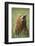 Grizzly Bear Resting in Meadow at Hallo Bay-Paul Souders-Framed Photographic Print