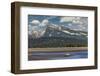 Grizzly bear resting on beach, Lake Clark National Park and Preserve, Alaska.-Adam Jones-Framed Photographic Print