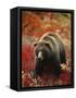 Grizzly Bear Standing Amongst Alpine Blueberries, Denali National Park, Alaska, USA-Hugh Rose-Framed Stretched Canvas