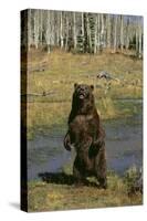 Grizzly Bear Standing by Water-DLILLC-Stretched Canvas