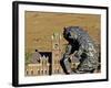 Grizzly Bear Statue at University of Montana, Missoula, Montana-Chuck Haney-Framed Photographic Print