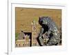 Grizzly Bear Statue at University of Montana, Missoula, Montana-Chuck Haney-Framed Photographic Print