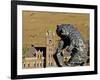 Grizzly Bear Statue at University of Montana, Missoula, Montana-Chuck Haney-Framed Photographic Print