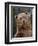 Grizzly Bear (Ursus Arctos Horribilis) in Captivity, Near Bozeman, Montana, USA-James Hager-Framed Photographic Print