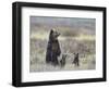 Grizzly Bear (Ursus Arctos Horribilis) Sow and Two Cubs of Year All Standing Up on their Hind Legs-James Hager-Framed Photographic Print