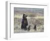 Grizzly Bear (Ursus Arctos Horribilis) Sow and Two Cubs of Year All Standing Up on their Hind Legs-James Hager-Framed Photographic Print