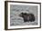 Grizzly Bear (Ursus arctos horribilis), Yellowstone National Park, Wyoming, USA, North America-James Hager-Framed Photographic Print