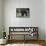 Grizzly Bear (Ursus Arctos Horribilis)-James Hager-Framed Stretched Canvas displayed on a wall